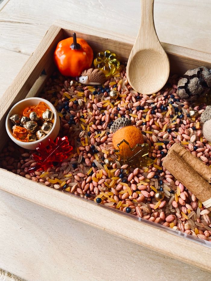 🍂Kit Montessori bac univers sensoriel – Thème Forêt automnale - photo numéro 2