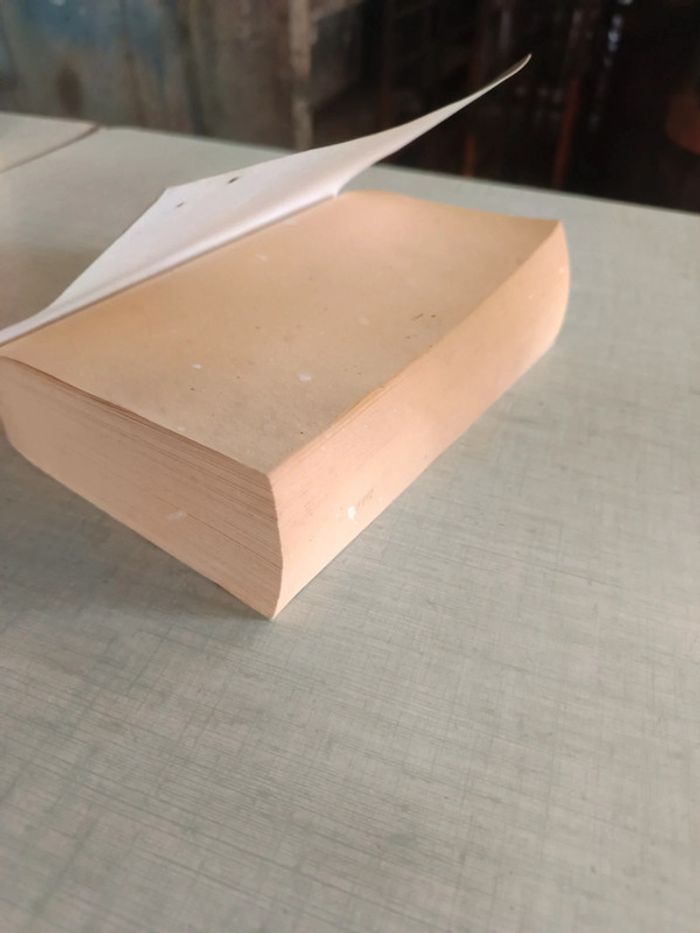 Livre la cathare - photo numéro 4