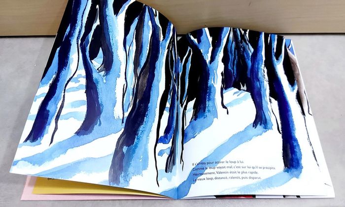 🌺 Livre (école des loisirs) : Le chat rouge - photo numéro 5