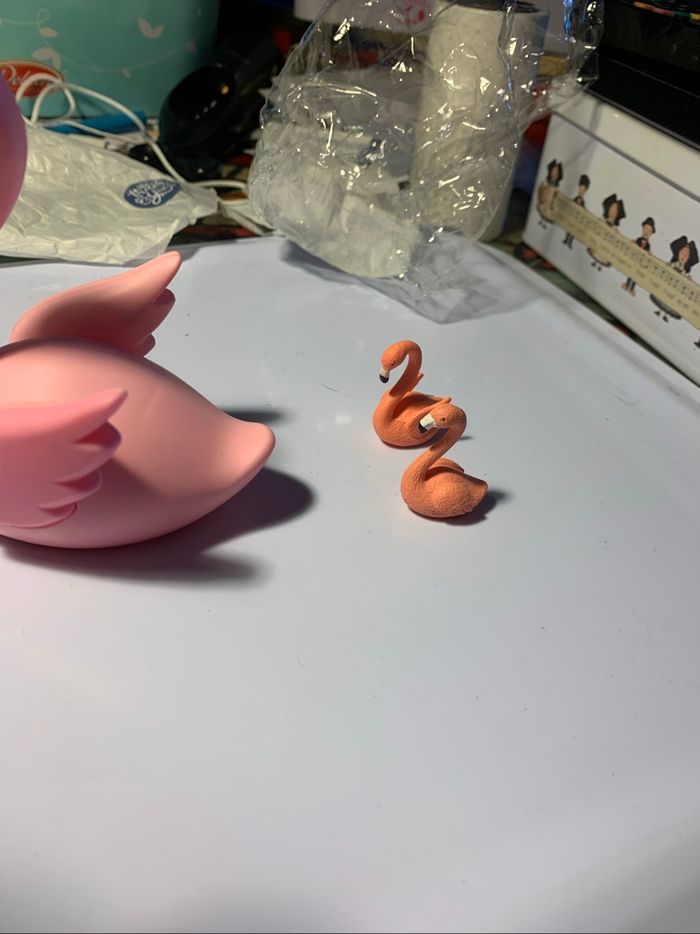 3 flamands roses - photo numéro 2