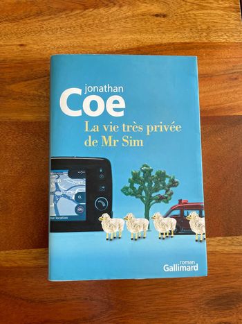 La vie très privée de Mr Sim