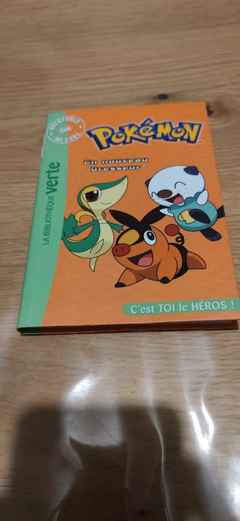 Pokemon un nouveau dresseur