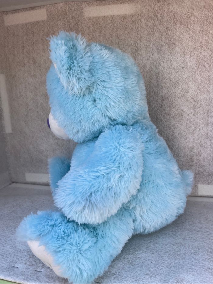 Ours bleu - photo numéro 2