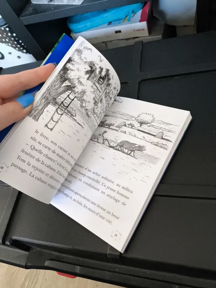 Livre " la cabane magique" - photo numéro 9