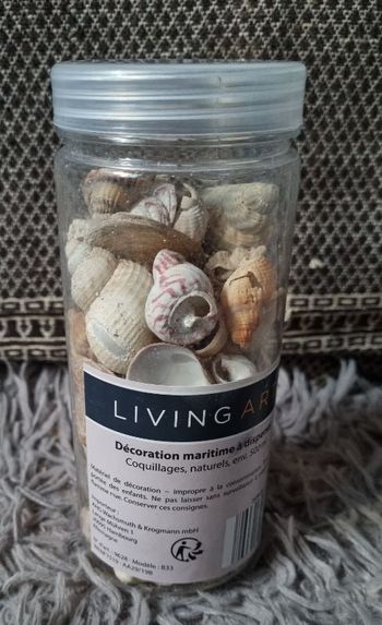 Coquillages naturel décoratif