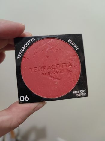 Blush 06 gyerlain légèrement abimer