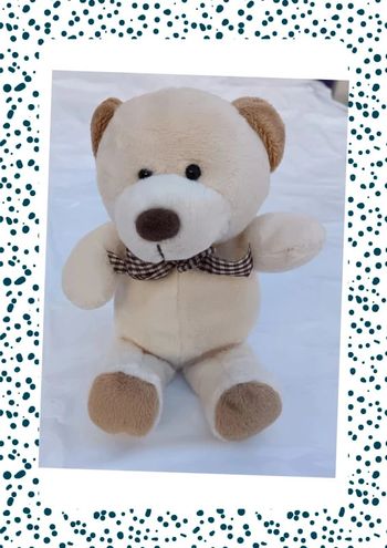 Ours en peluche