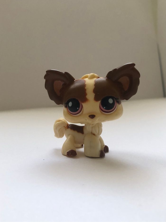 Littlest pet shop authentique chihuahua #385