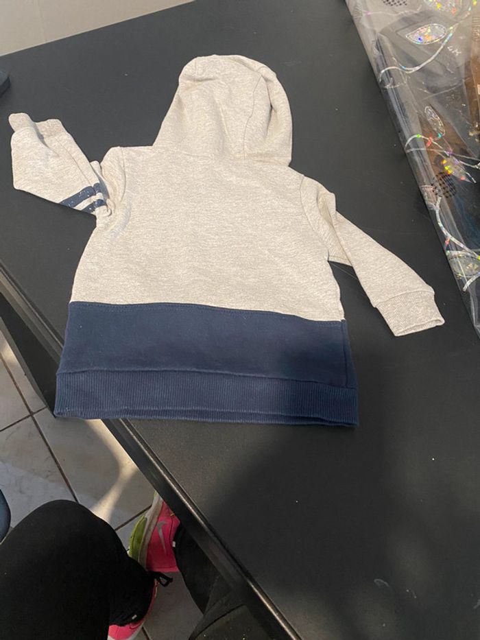 Pull capuche roi lion - photo numéro 2