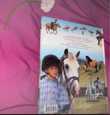 Du cheval et du poney