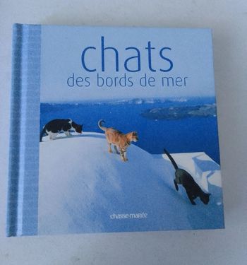 Chats des bords de mer