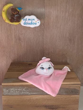 DY316 doudou chat 🐱 Marie