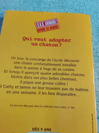 Qui veut adopter un petit chaton ?