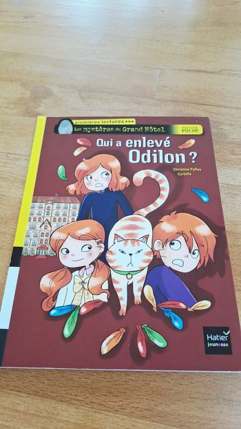 Qui a enlevé odilon