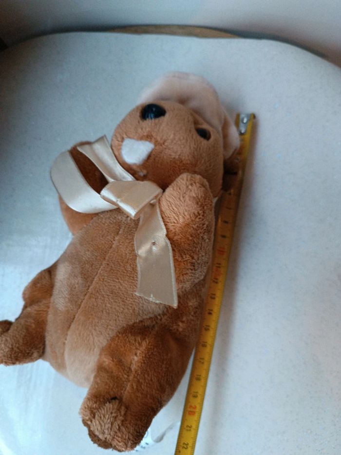 Startoy peluche doudou plush nounours Teddy marmotte Berret chapeau suisse edelweiss fleur flower - photo numéro 11