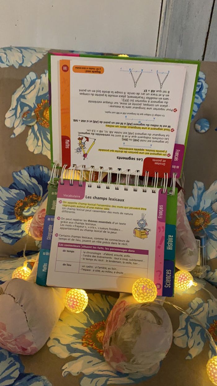 Aide aux devoirs - photo numéro 5