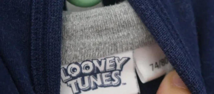 Ensemble haut Gémo et jogging/gilets Looney Tunes 18 mois - photo numéro 19