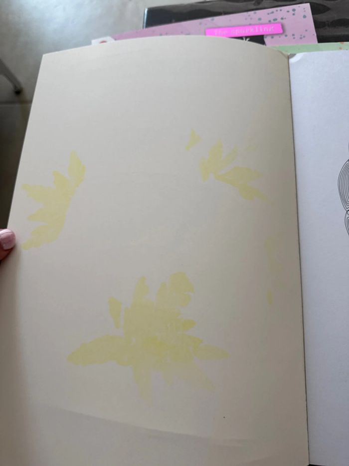 Lot cahier de coloriage - photo numéro 11