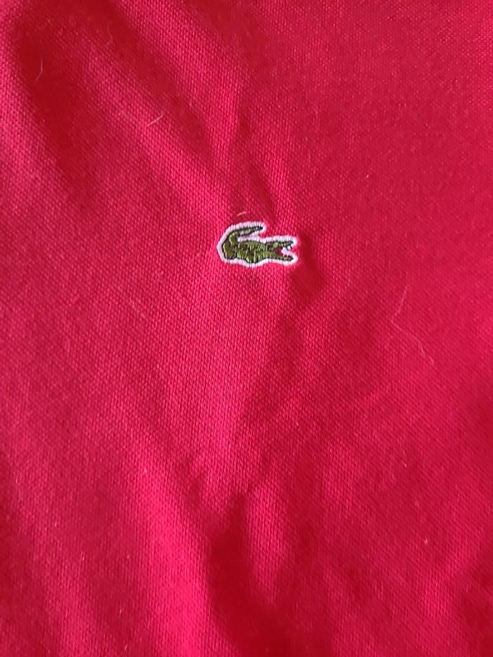 Polo Lacoste - photo numéro 3