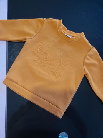 Pull 12 mois