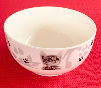 Bol blanc Chats, noir grises, en céramique brillant