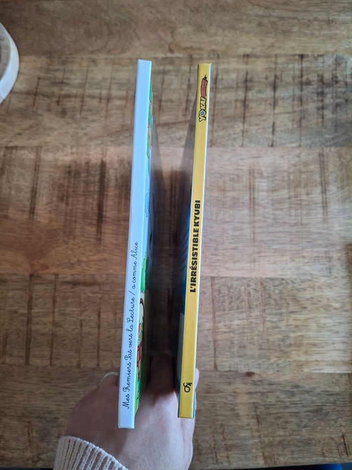 Lot 2 livres enfants - photo numéro 3