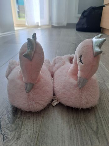 Chaussons cygnes