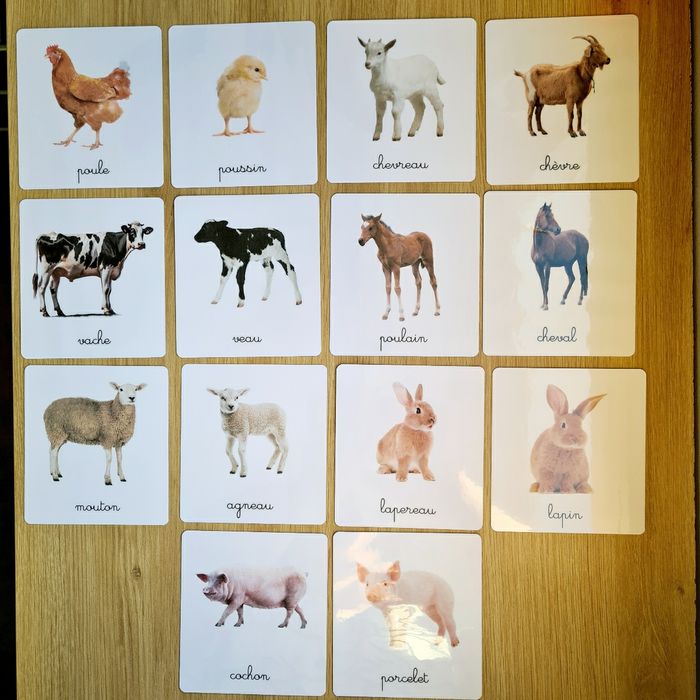 24 imagiers Animaux de la ferme / cartes de nomenclature - photo numéro 4
