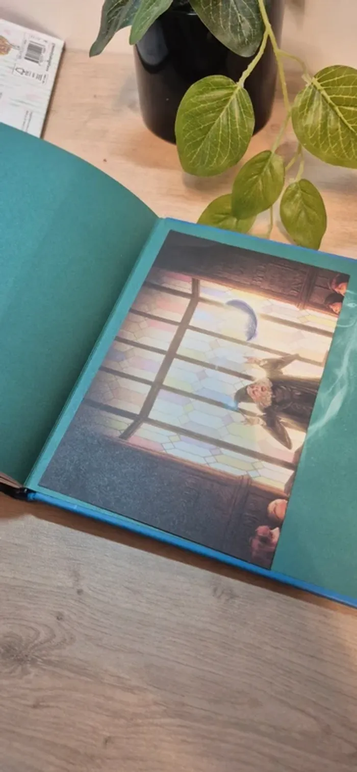 Livre harry potter - photo numéro 8