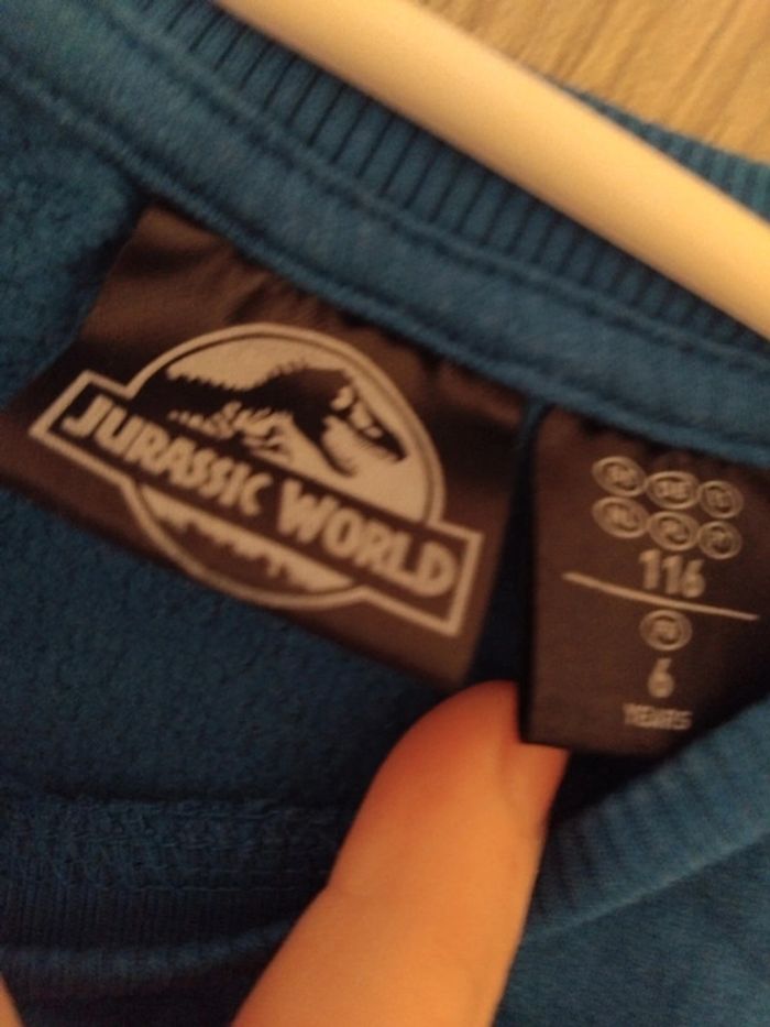 Pull 🦖 - photo numéro 3