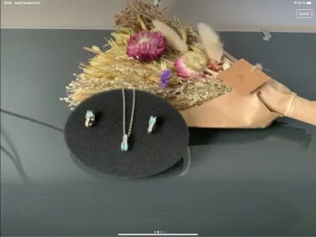 #c-delaparuredebijoux