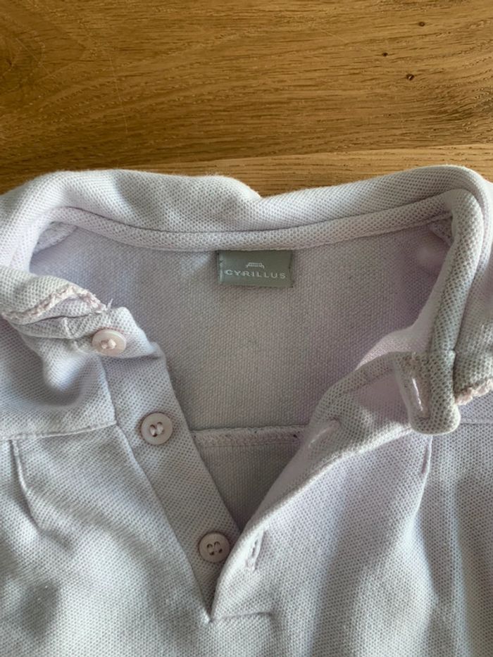 Polo cyrillus - photo numéro 2