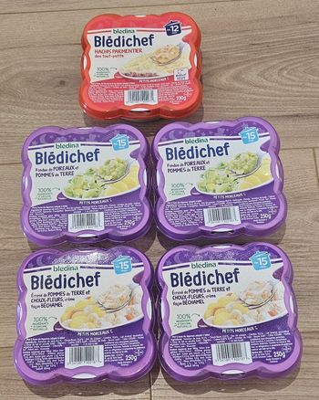 Lot 5 repas Blédichef