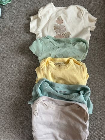 Lot de 5 bodys manches courtes