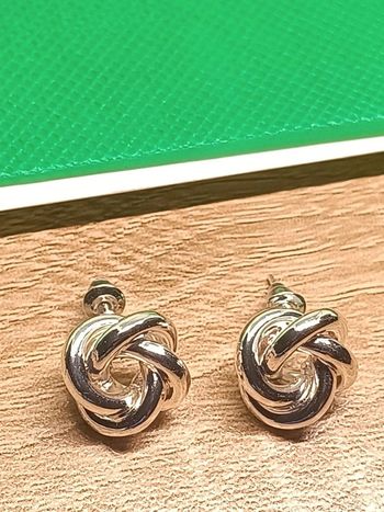 Boucles d'oreilles couleur argentée torsadé