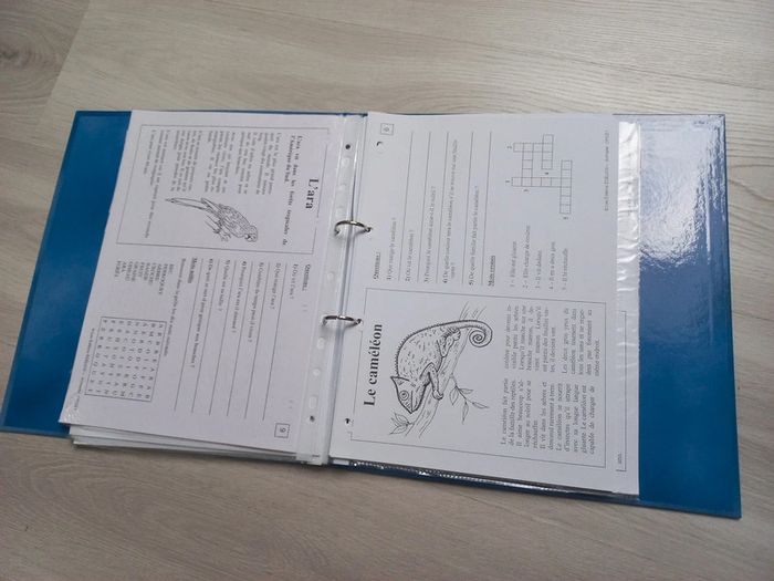 Classeur lecture documentaire cp /ce1 animalier - photo numéro 3