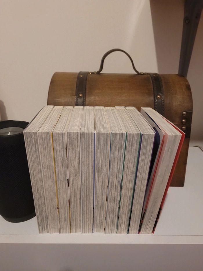 Manga Mirai Nikki tome 1 à 10 - photo numéro 2