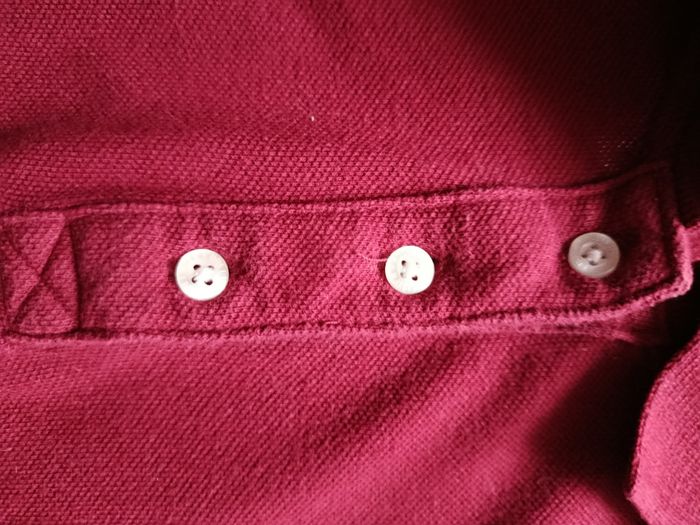 Polo Hollister - photo numéro 3
