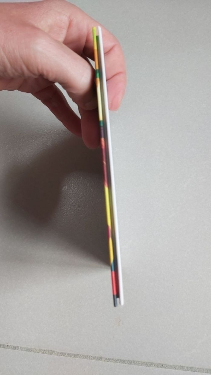 Le perroquet qui ne pipait mot - photo numéro 3