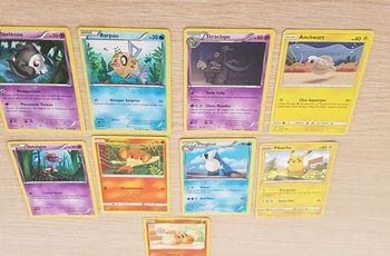 Lot Cartes  Pokémon
