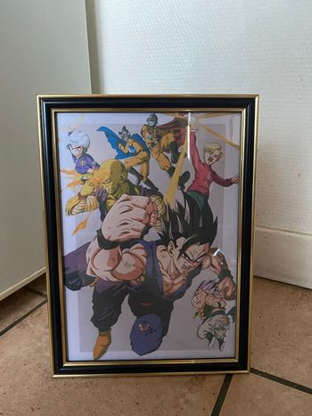 Cadre dragon ball super