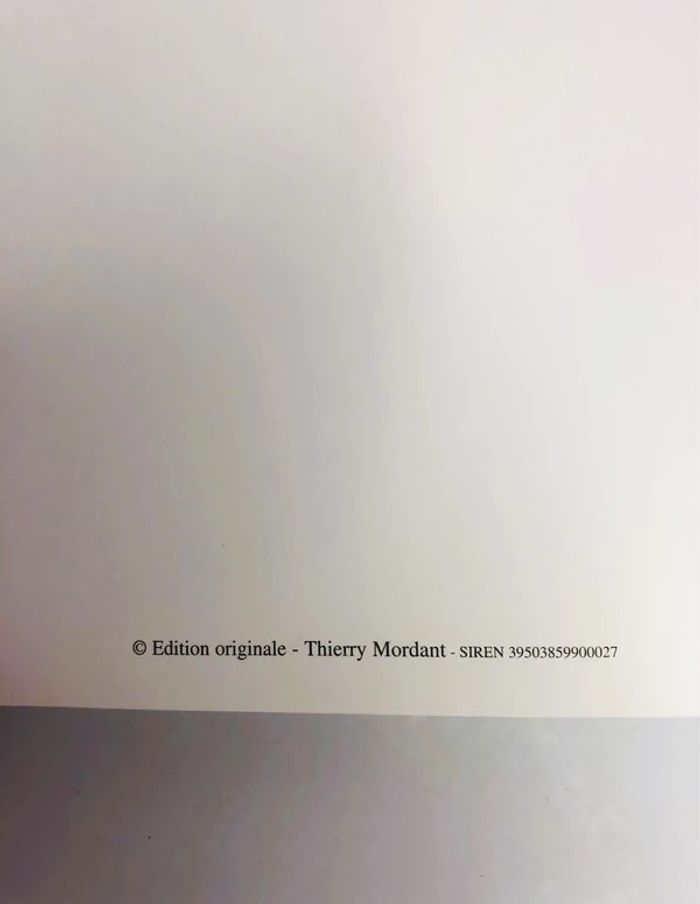 Thierry Mordant – Magic World Les Fruits du Rêve EO + dessin dédicacé - photo numéro 5