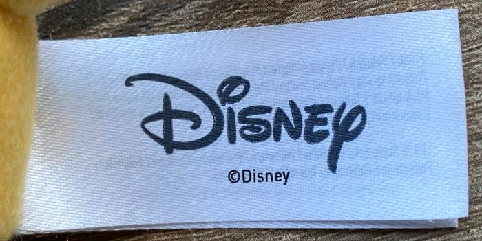 Lion - photo numéro 4