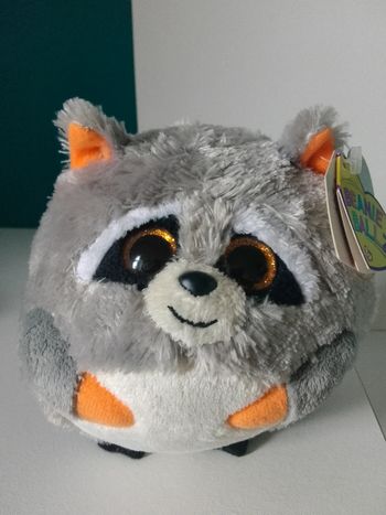 Beanie Ball Z raton laveur