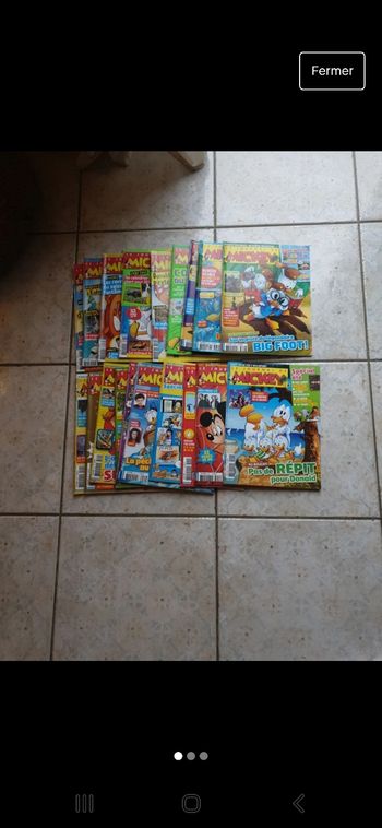 lot journal de Mickey