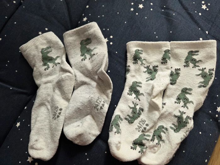 Chaussettes 24 26 dinausores