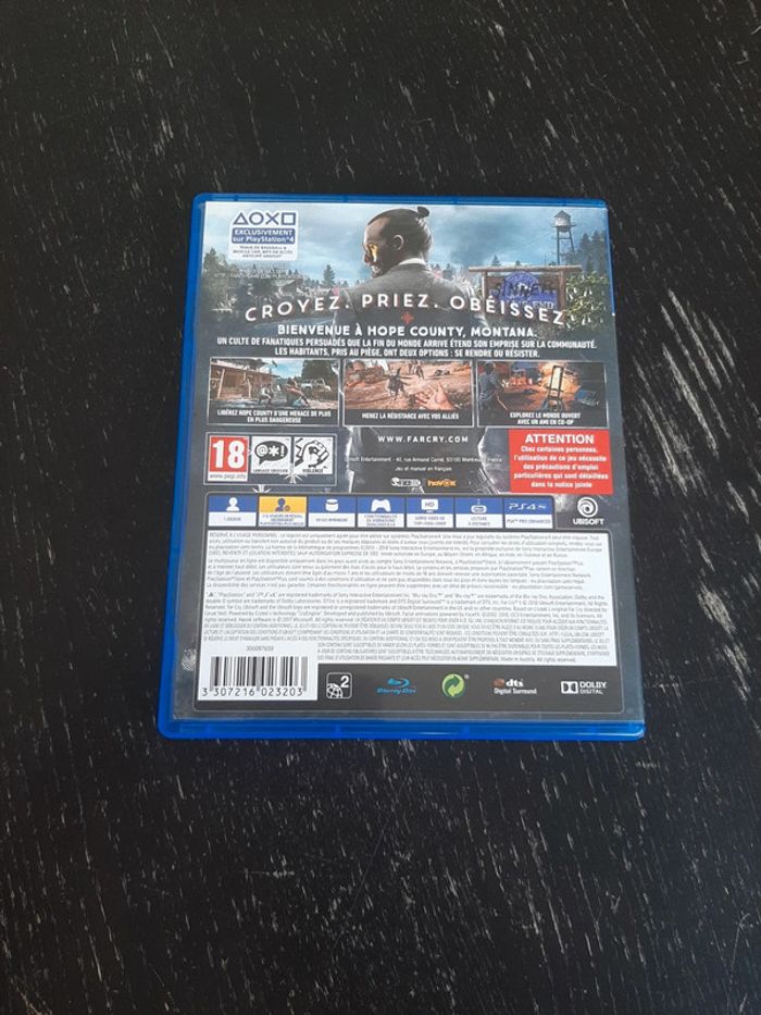 Jeu ps4 far cry5 - photo numéro 2