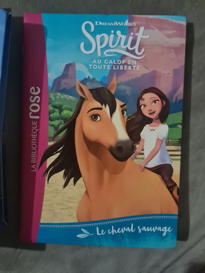 Spirit livre - photo numéro 5