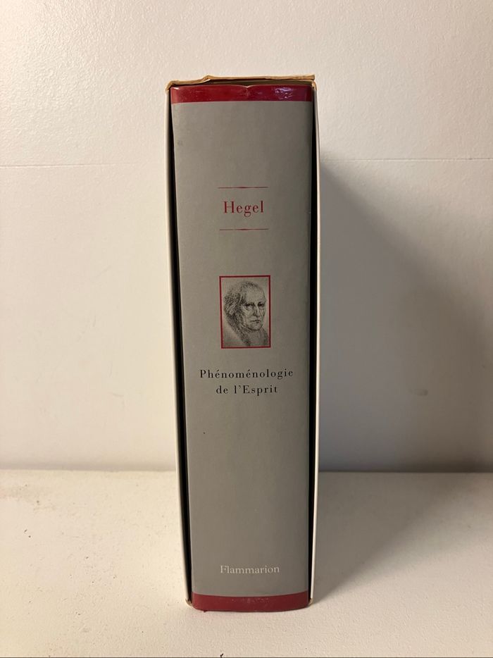 Beau livre relié-Hegel-Phénoménologie de l’esprit - photo numéro 4
