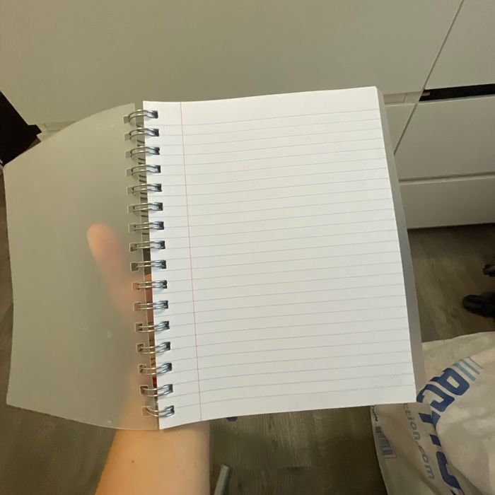 Cahier - photo numéro 3